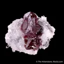 Cinnabar (twinned) on Quartz - image 1