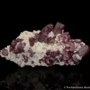 Cinnabar with Dolomite - image 1