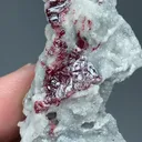 Cinnabar with Dolomite - image 2