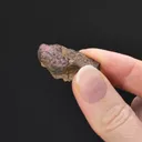 Cinnabar with NATIVE Mercury - image 2