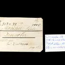 Cinnabar with NATIVE Mercury - image 1