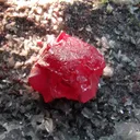 Cinnabar With Quartz - image 1