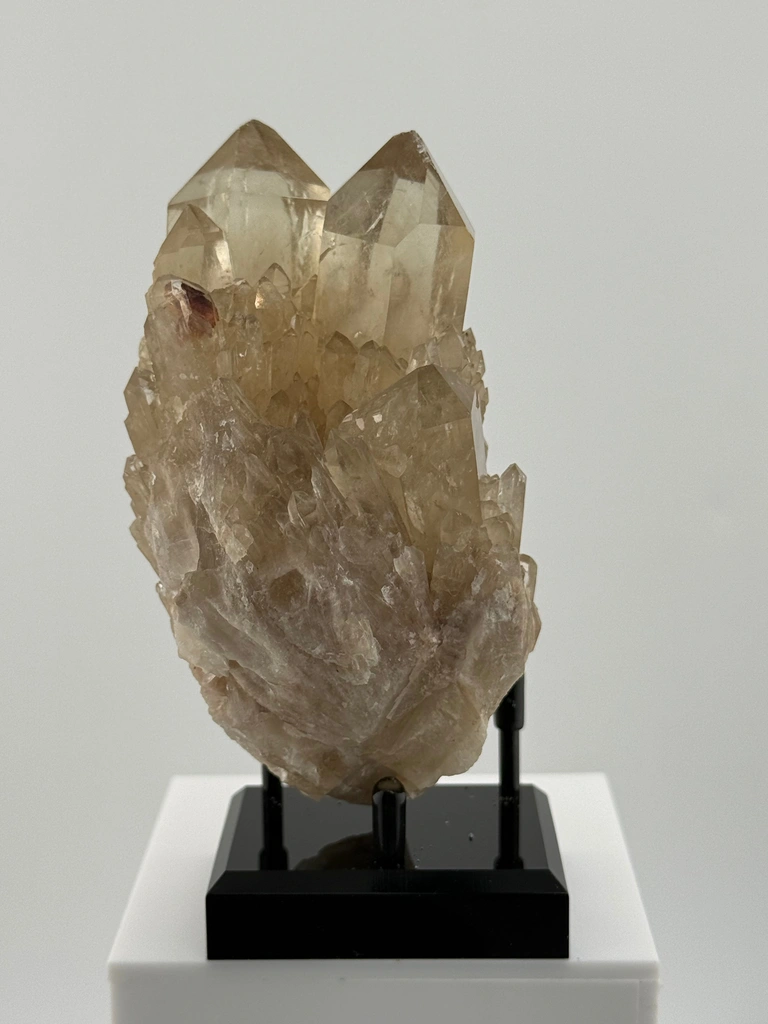 Citrine - image 3