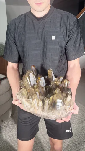 specimen video