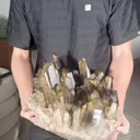 specimen video