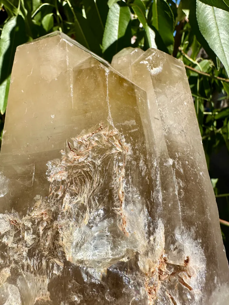 Citrine from Mozambique, Zambezia Province, Alto Ligonha Pegmatite Field - image 6