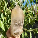 Citrine from Mozambique, Zambezia Province, Alto Ligonha Pegmatite Field - image 7
