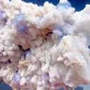 specimen video