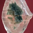 Clay-Included Gypsum from USA, Utah, Tooele County - image 1