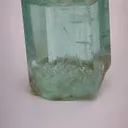 specimen video