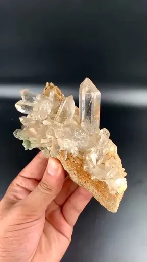 specimen video