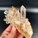 specimen video