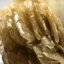 Cleavelandite on Albite - image 1