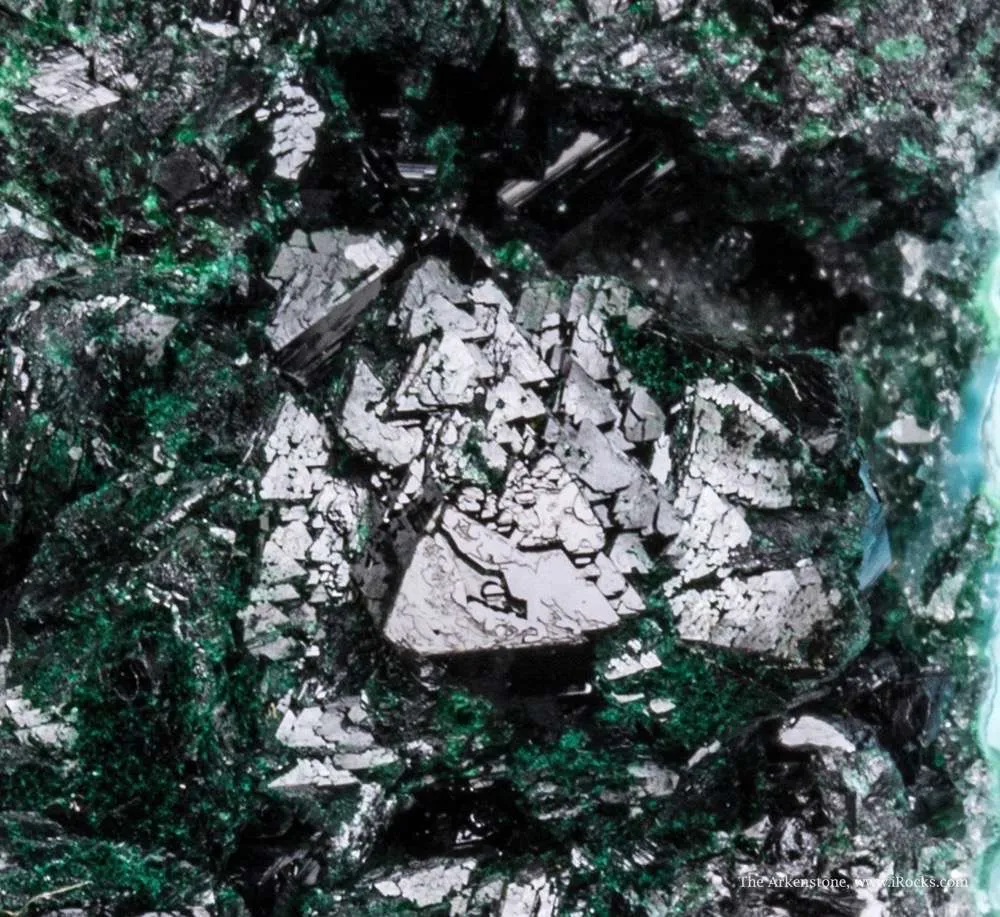 Clinoatacamite on Chrysocolla - image 4