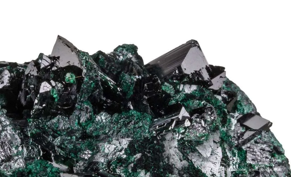 Clinoatacamite on Chrysocolla - image 6