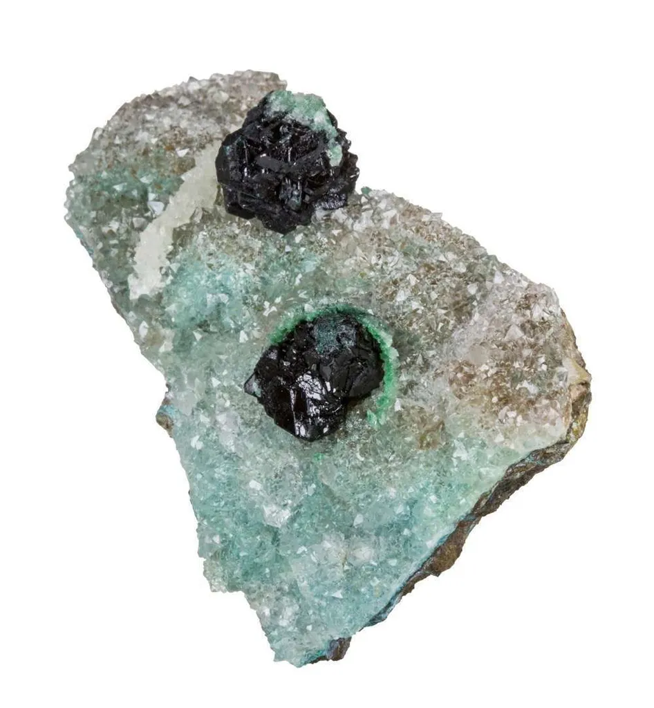 Clinoatacamite on Quartz - image 5