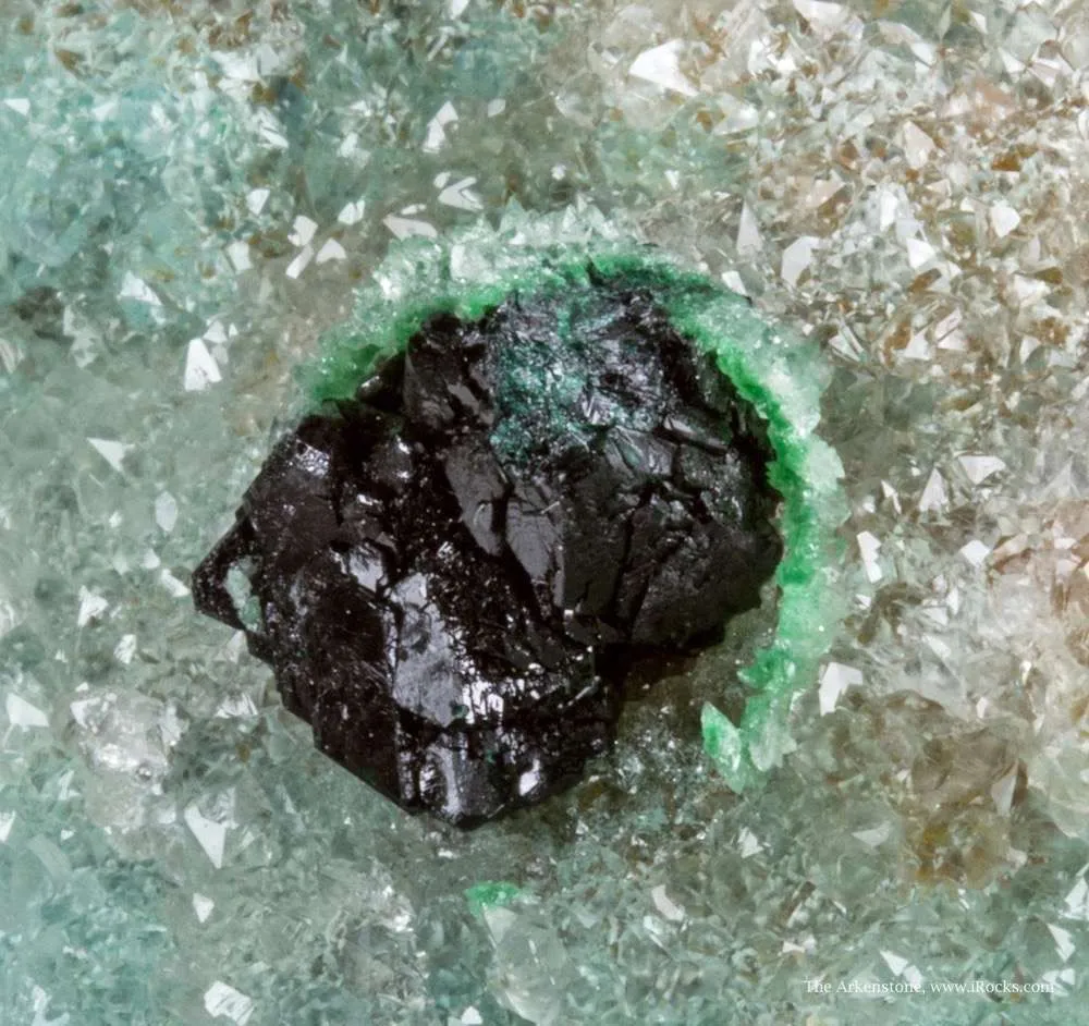 Clinoatacamite on Quartz - image 3