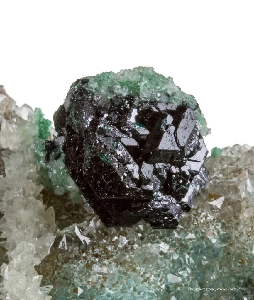 Clinoatacamite on Quartz image