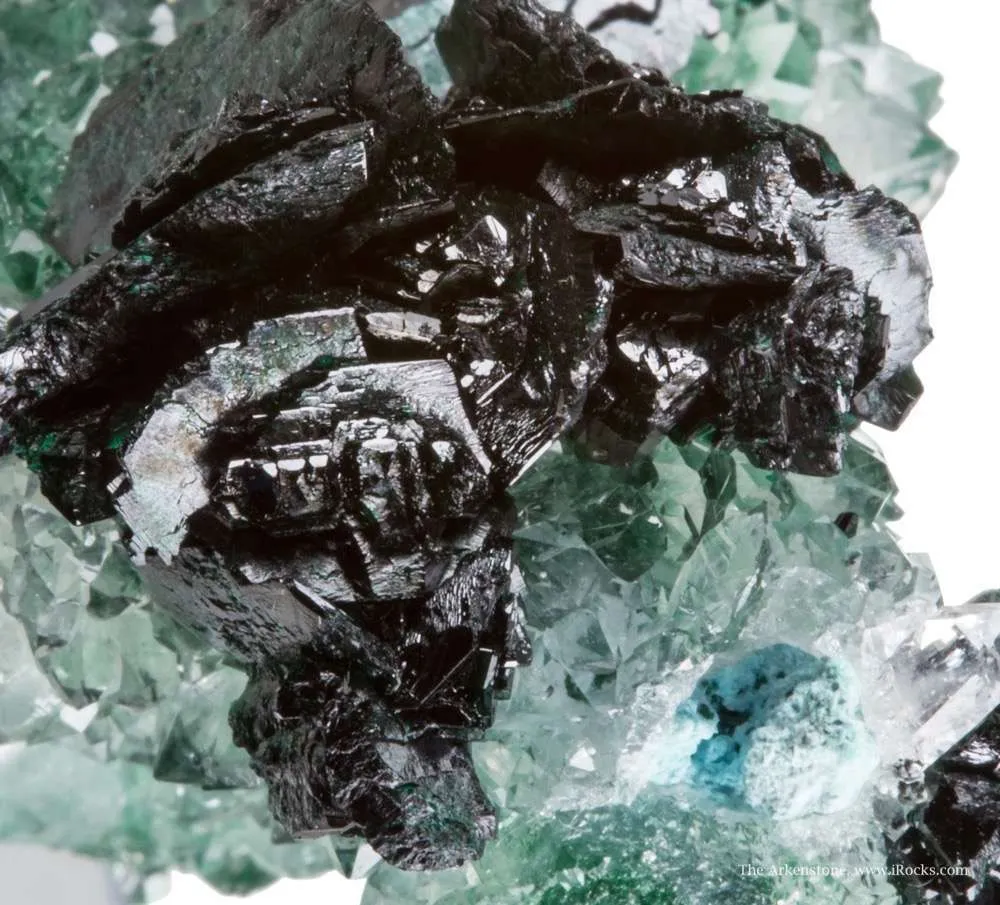 Clinoatacamite on Quartz - image 6