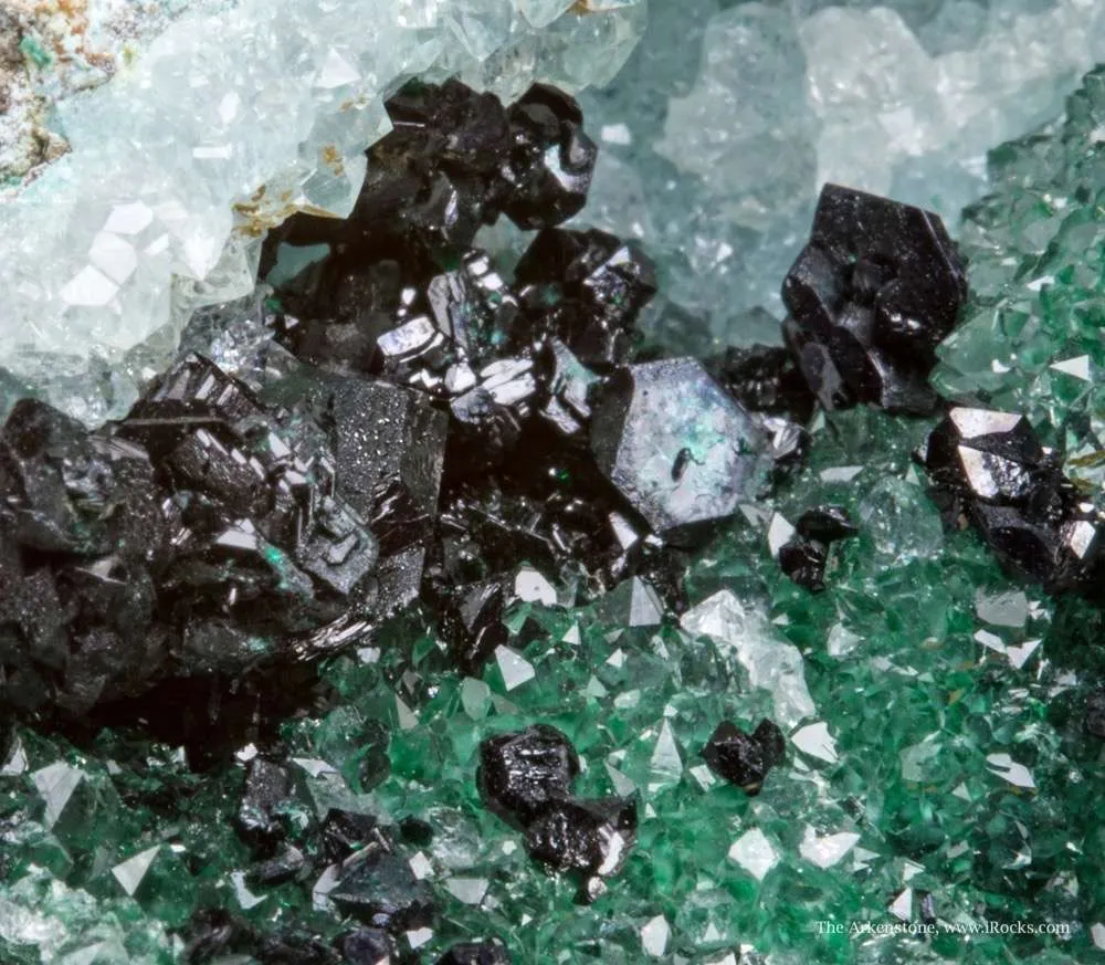 Clinoatacamite on Quartz image