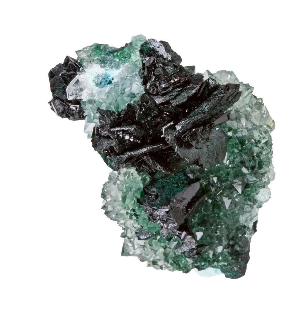 Clinoatacamite on Quartz - image 3