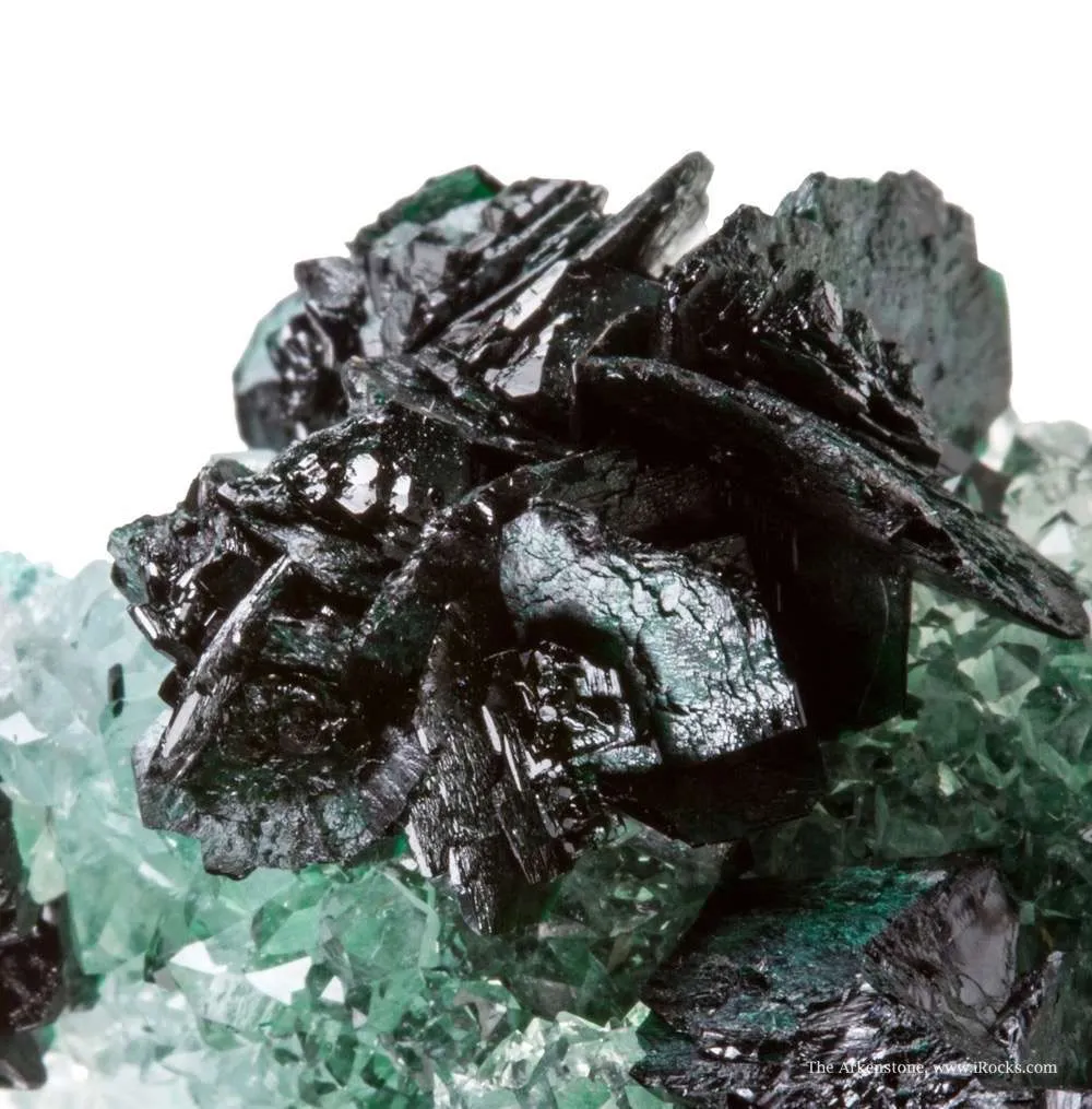 Clinoatacamite on Quartz image