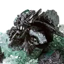 Clinoatacamite on Quartz - image 1