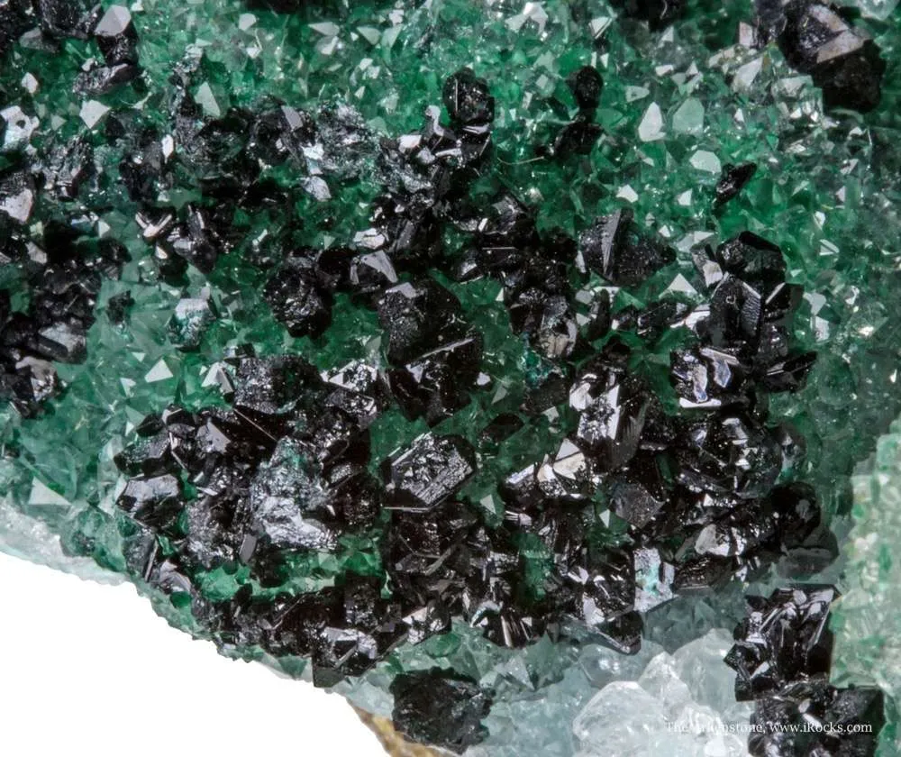 Clinoatacamite on Quartz - image 6