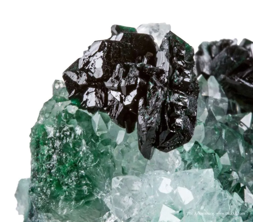Clinoatacamite on Quartz - image 7