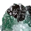 Clinoatacamite on Quartz - image 7