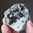 CLINOATACAMITE on Quartz with Chrysocolla - image 2