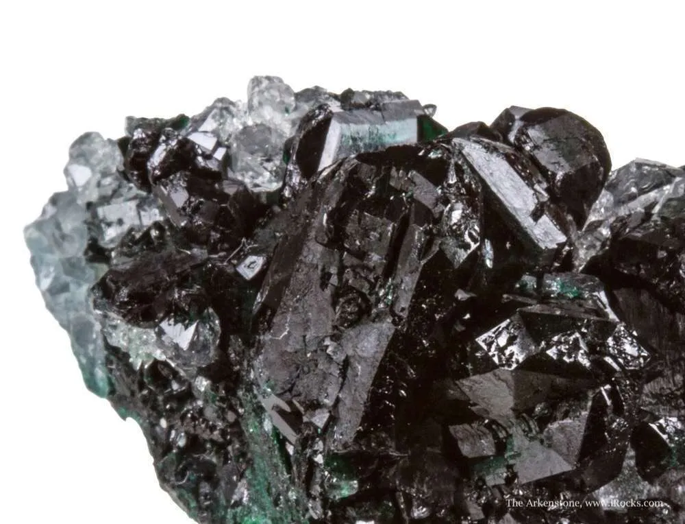 Clinoatacamite (twinned) on Quartz image
