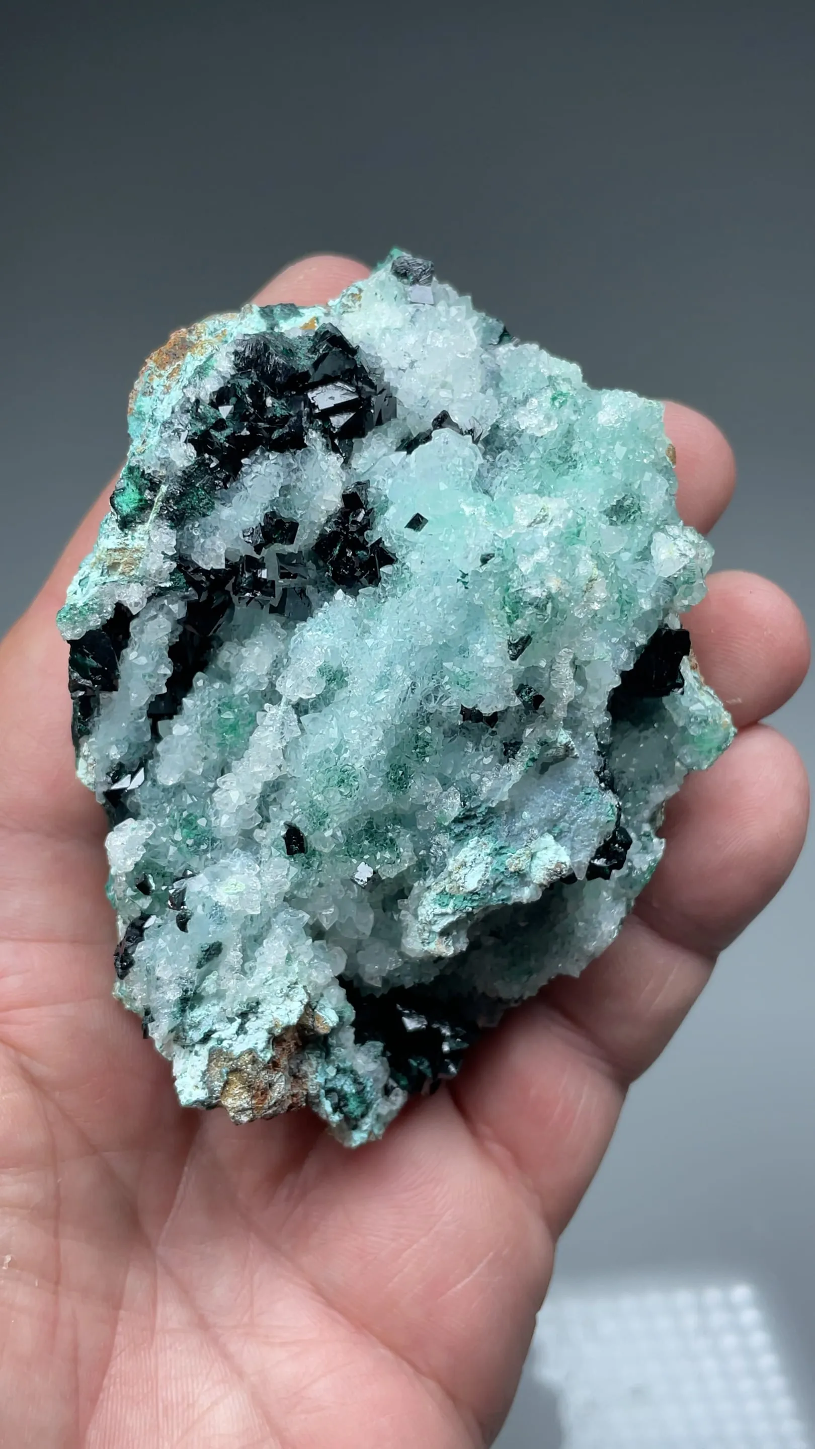 Clinoatacamite with Calcite, Malachite - image 2