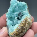 Clinoatacamite with Chrysocolla, Quartz - image 2