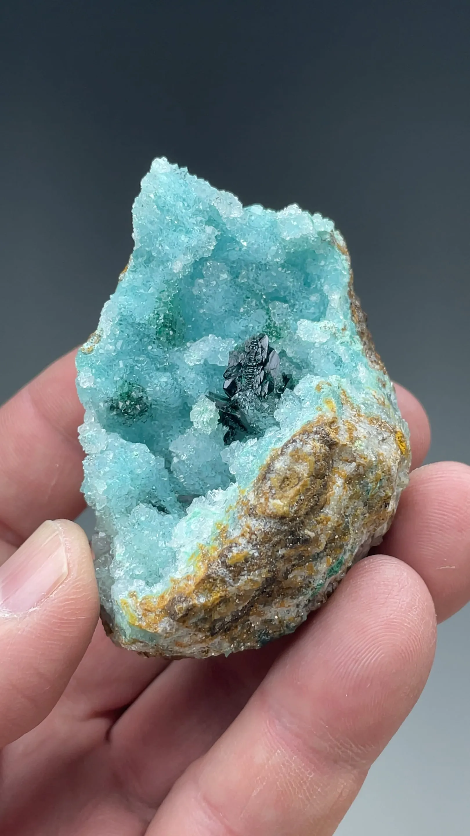 Clinoatacamite with Chrysocolla, Quartz - image 2