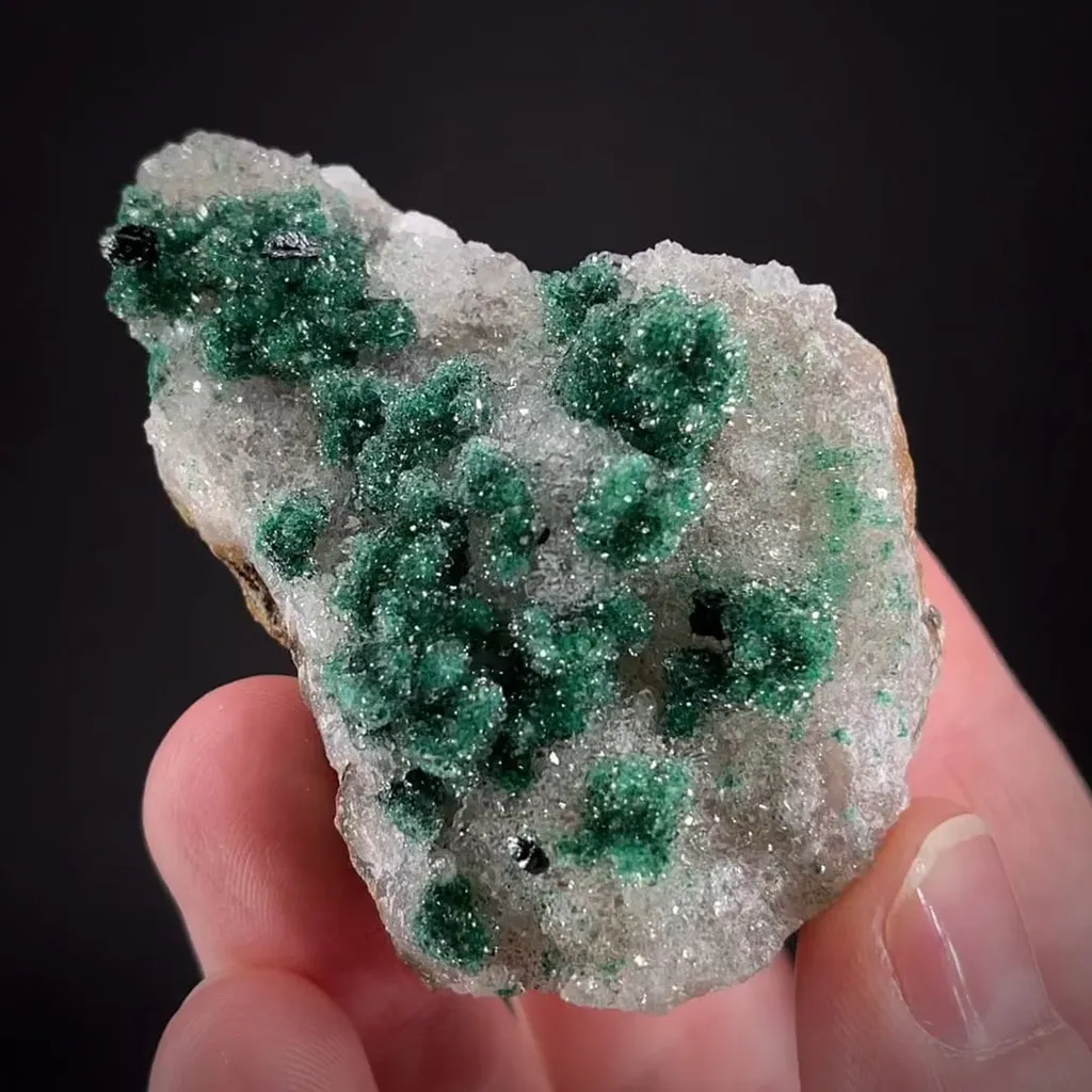 Clinoatacamite with Malachite on Quartz image