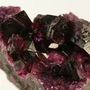 Clinochlore (Var: Chromian Clinochlore) - image 2