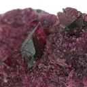 Clinochlore (Var: Chromian Clinochlore) - image 2