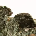 Clinochlore (Var: Ripidolite) - image 2