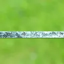 Clinochlore var. Seraphinite 98 grams - Korshunovskoye iron deposit, Irkutsk Oblast, Russia - image 3