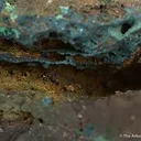 Clinoclase - image 3