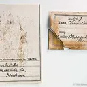 Clinoclase - image 4