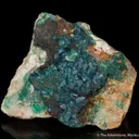 Clinoclase (Ex. Neeld circa 1800) - image 2