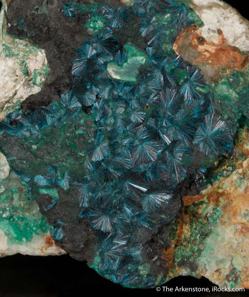 Clinoclase (Ex. Neeld circa 1800) - image 1