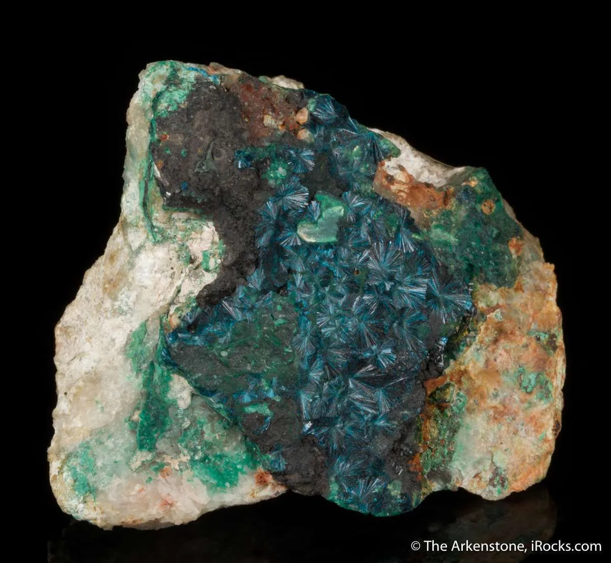 Clinoclase (Ex. Neeld circa 1800) - image 4