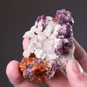 Clinohumite with Chondrodite and Spinel - image 2