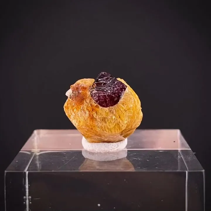 Clinohumite with Spinel - image 1