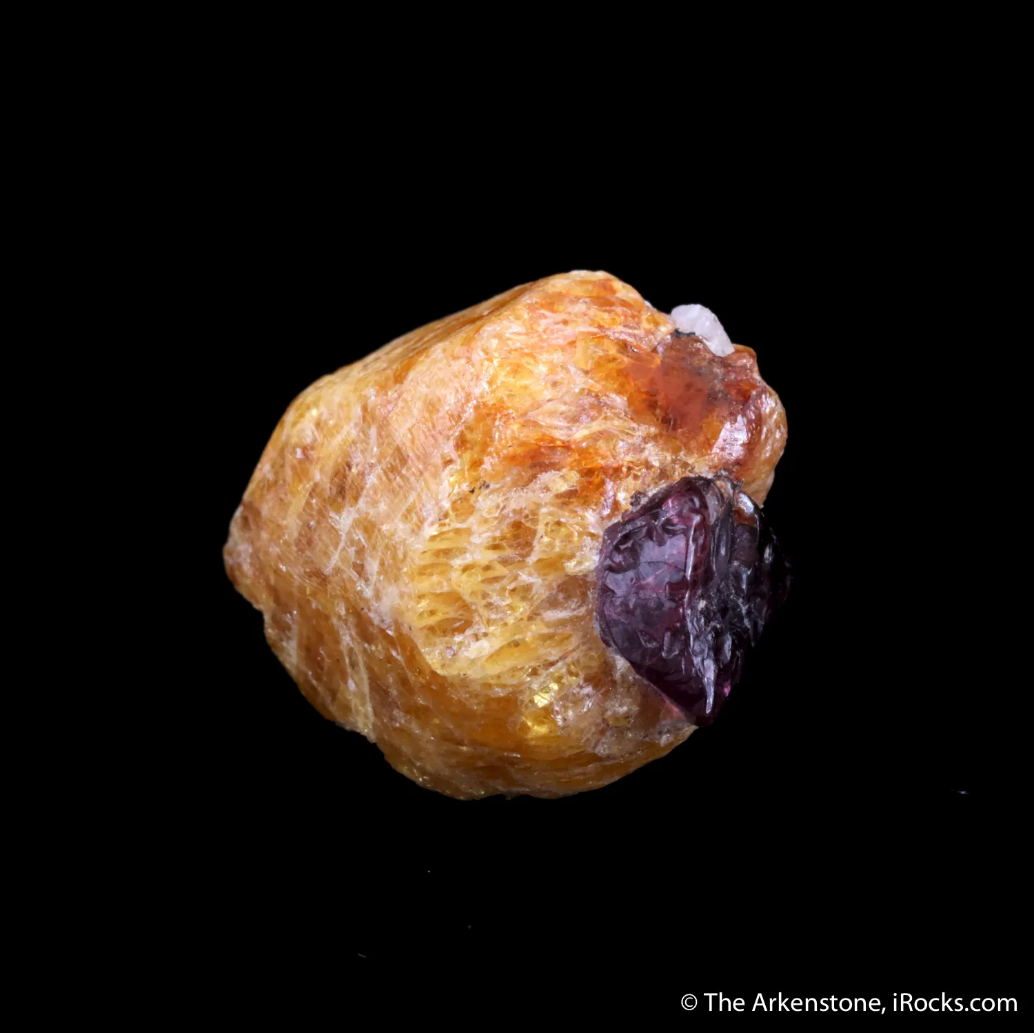 Clinohumite with Spinel - image 3