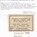 Clinozoisite - image 8