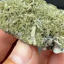 Clinozoisite with Fluorapatite (2260) - image 2